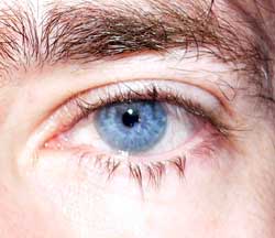 Profil de Paul-loup